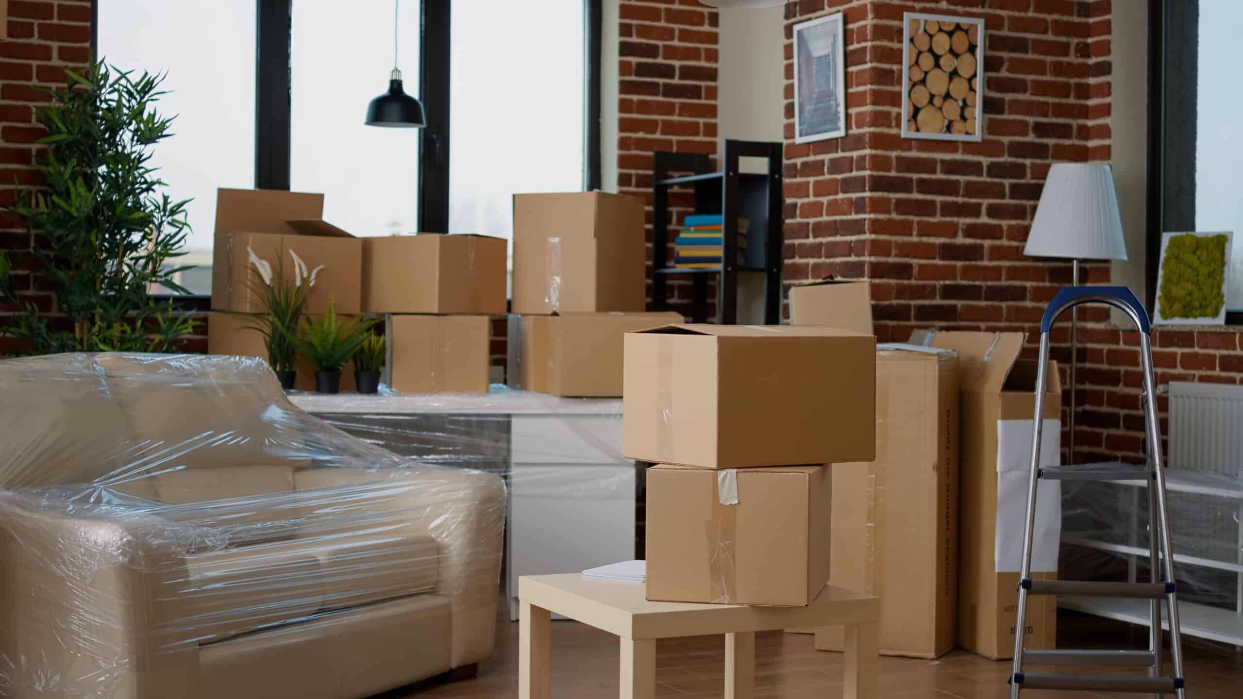 Florida Movers You Can Trust
